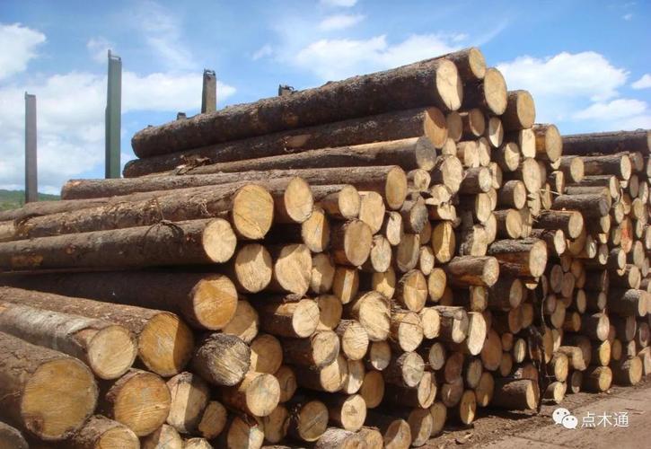 重庆木材市场订单爆满一片盛世繁荣